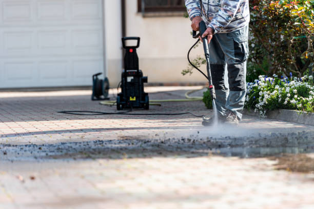 Best Affordable Pressure Washing  in Anoka, MN